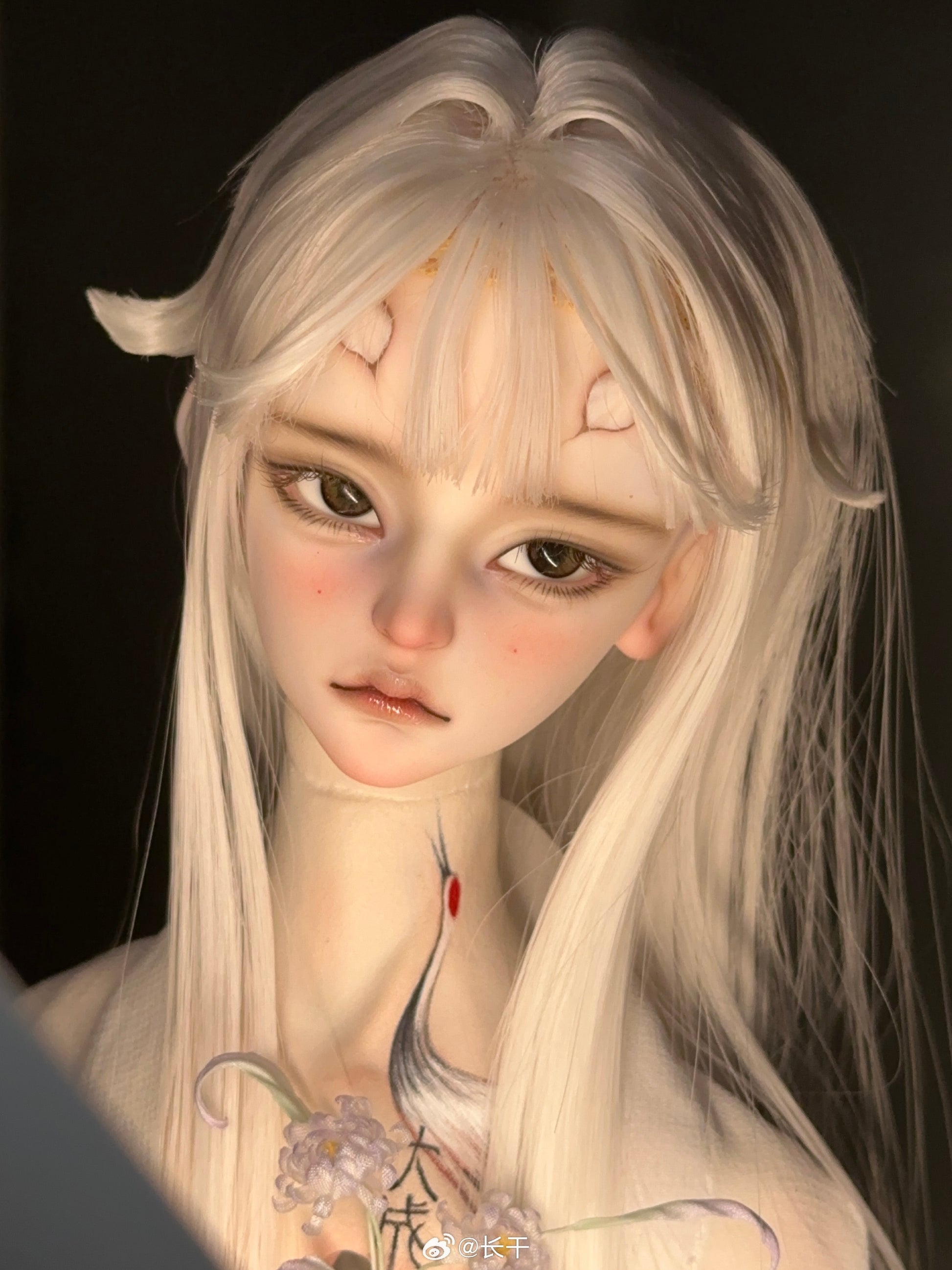 Long dry - Zhilong (BJD Head) - Anubis Doll Café