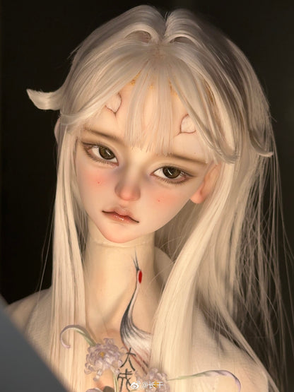 Long dry - Zhilong (BJD Head) - Anubis Doll Café