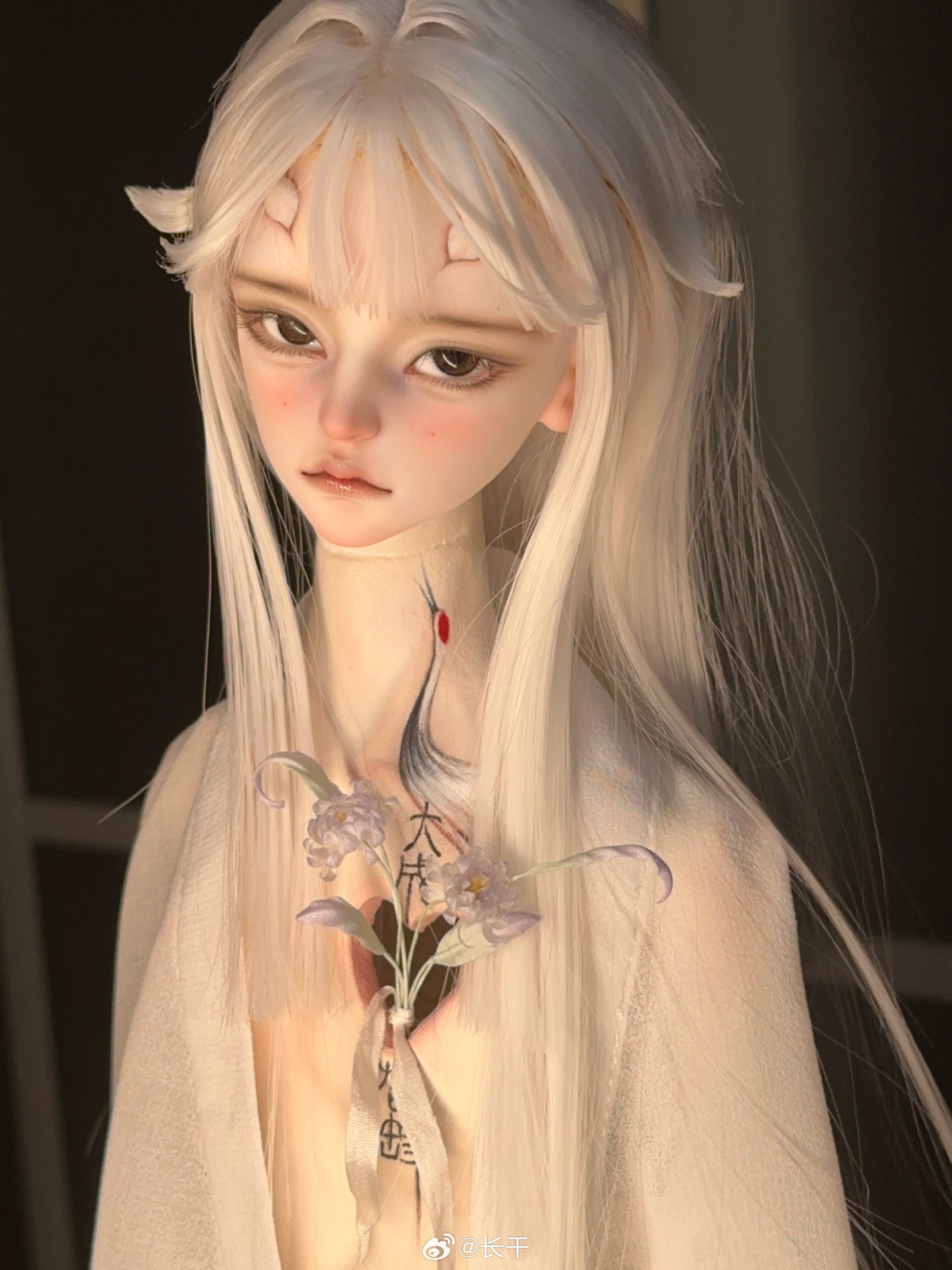 Long dry - Zhilong (BJD Head) - Anubis Doll Café