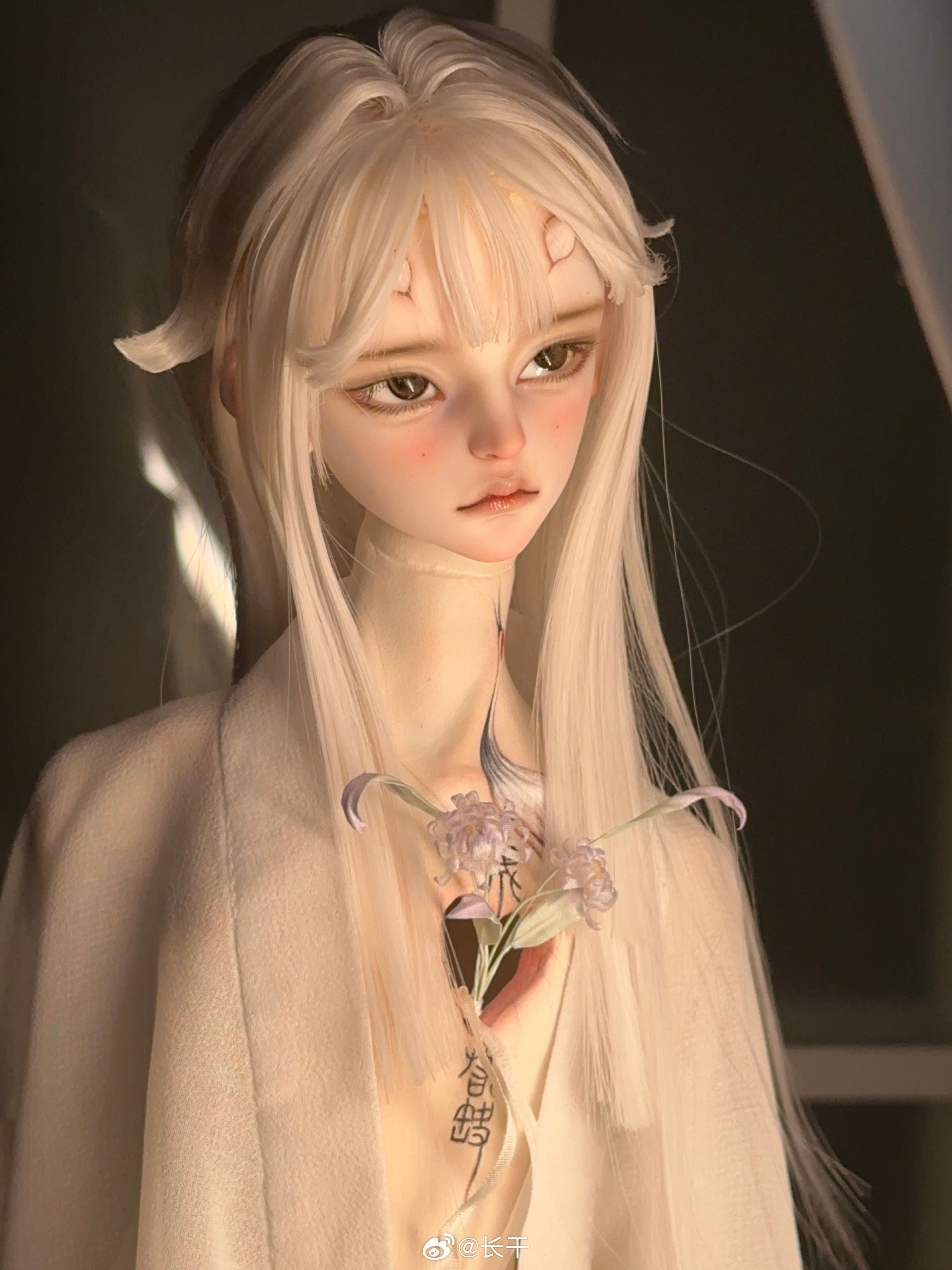 Long dry - Zhilong (BJD Head) - Anubis Doll Café