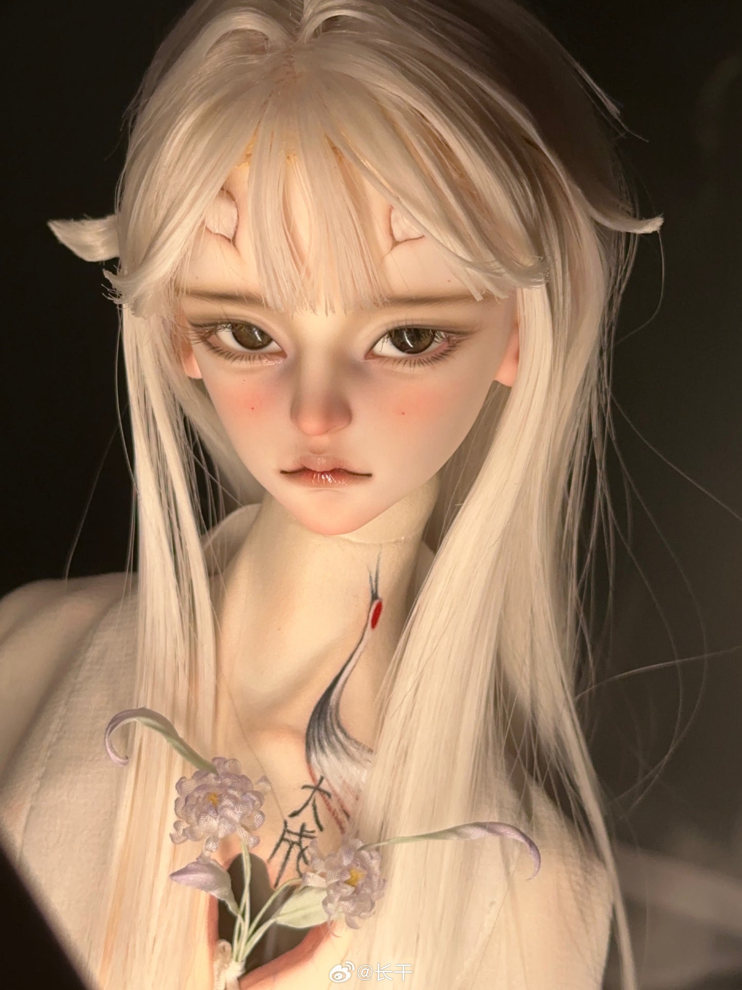 Long dry - Zhilong (BJD Head) - Anubis Doll Café