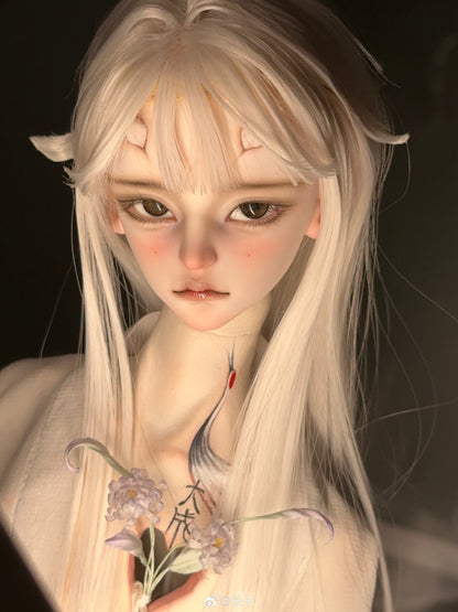 Long dry - Zhilong (BJD Head) - Anubis Doll Café