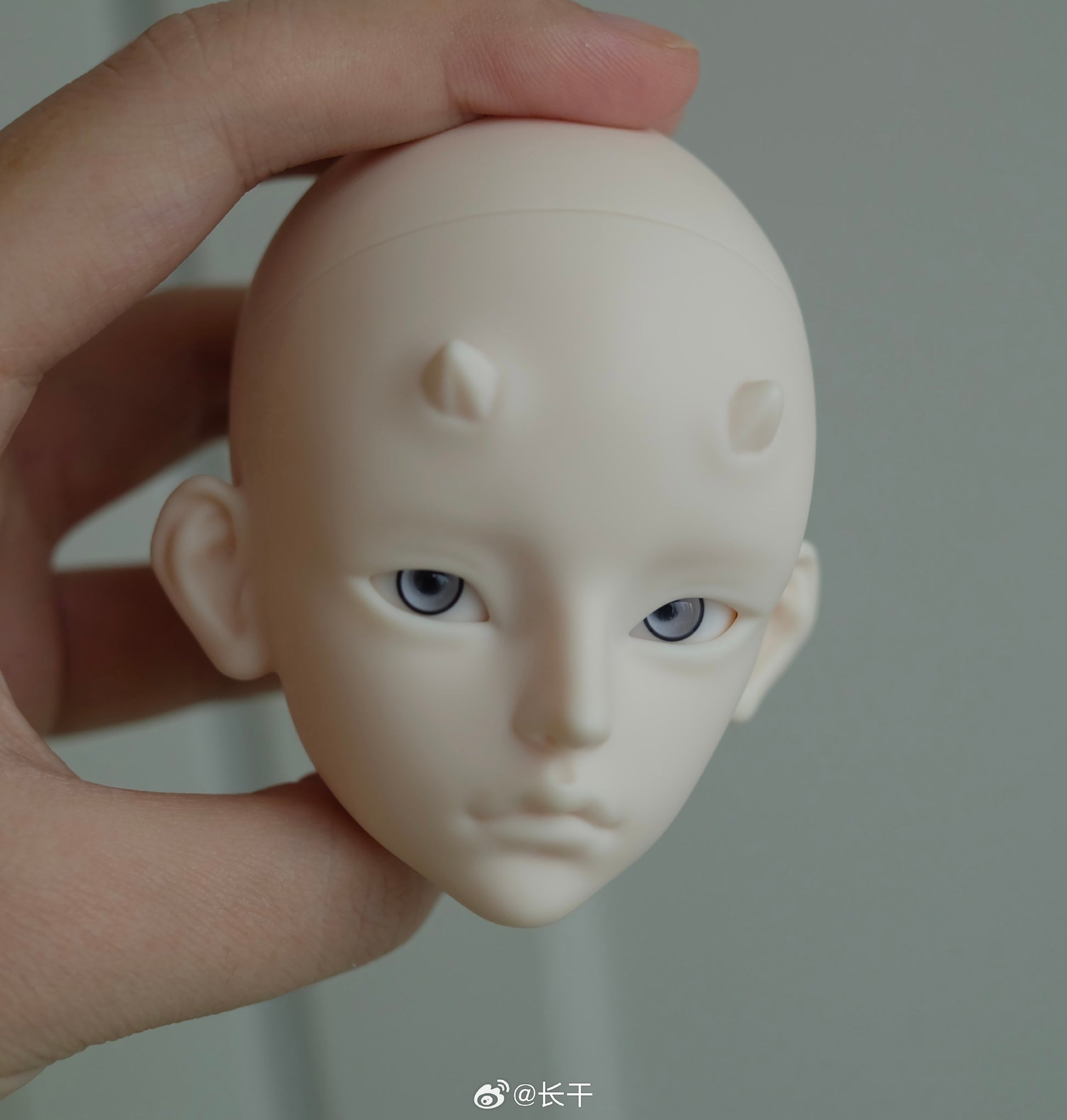 Long dry - Zhilong (BJD Head) - Anubis Doll Café