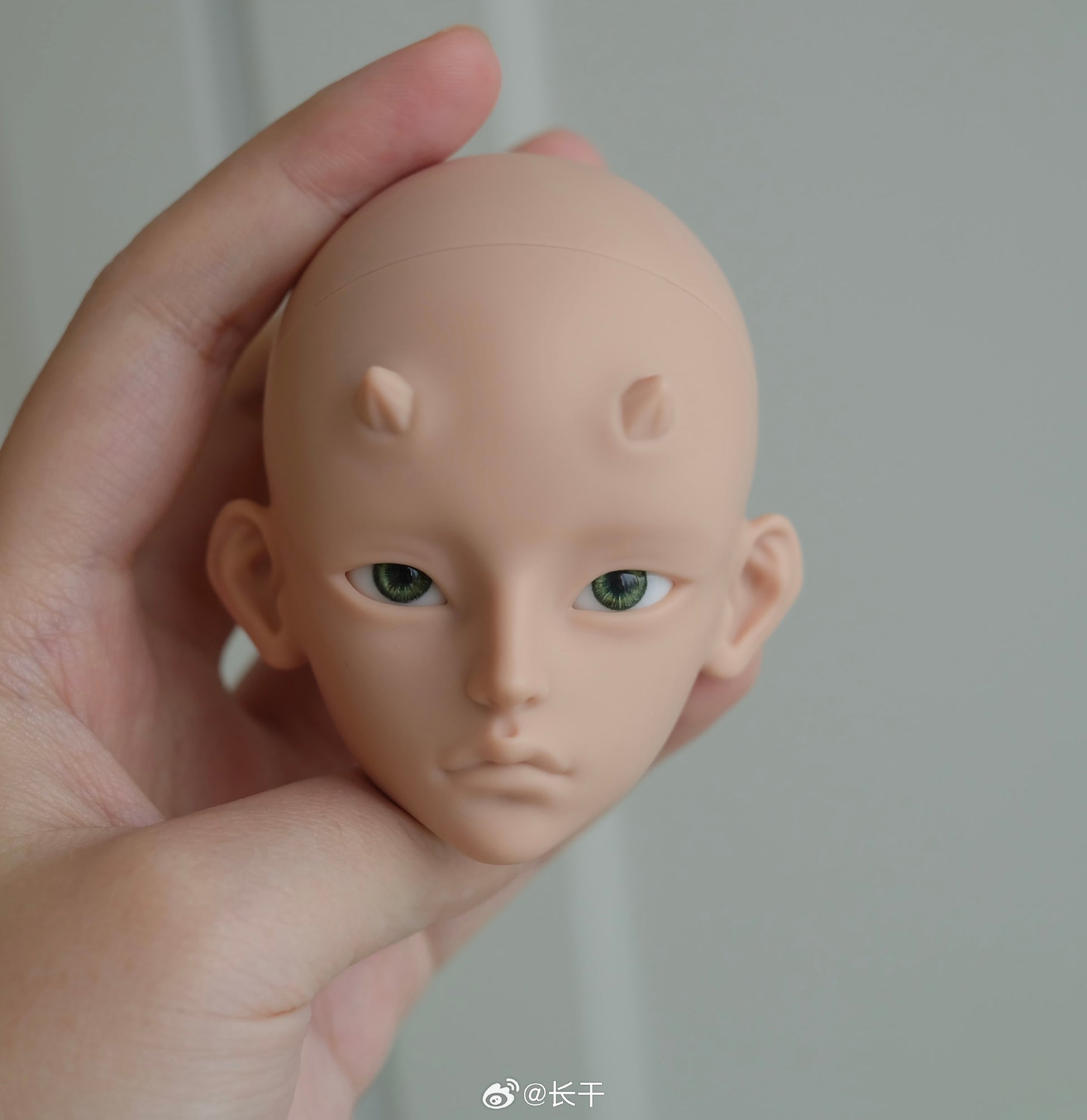 Long dry - Zhilong (BJD Head) - Anubis Doll Café