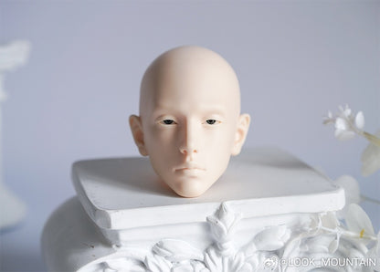 LOOK MOUNTAIN - Ian (หัวBJD) : พรีออเดอร์