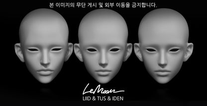 Lemoon - Iden (BJD Head) : PreOrder - Anubis Doll Café
