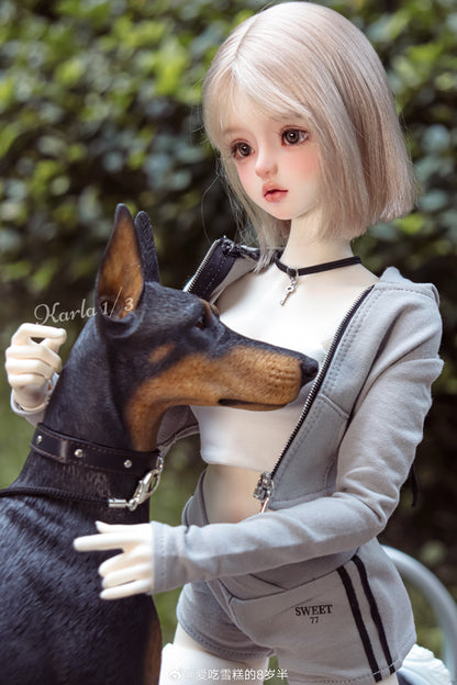 QQdoll - Karla 1/3 Ver. (หัวBJD) : พรีออเดอร์