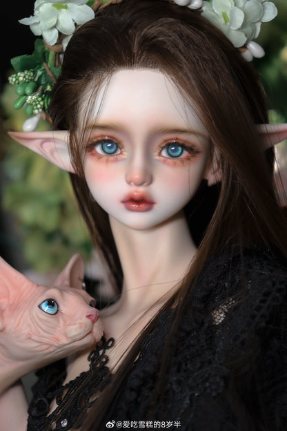 QQdoll - Karla 1/3 Ver. (หัวBJD) : พรีออเดอร์