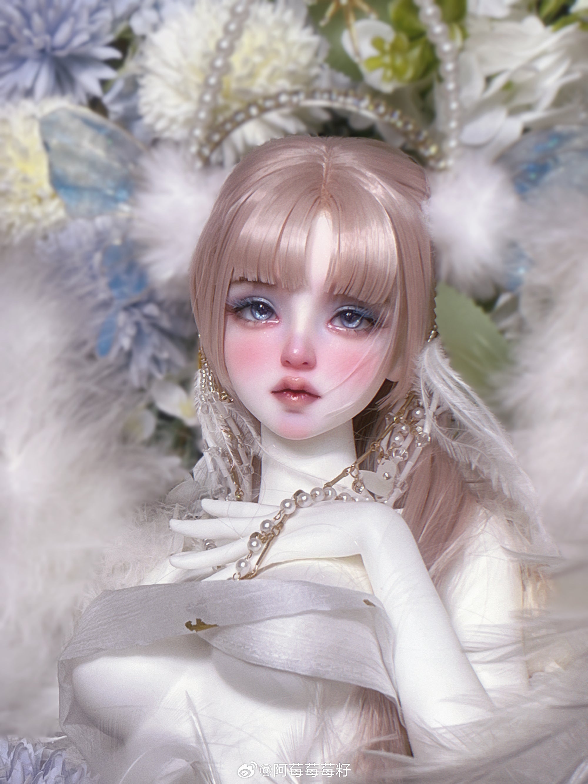 QQDoll - Berry (BJD Head) : PreOrder - Anubis Doll Café