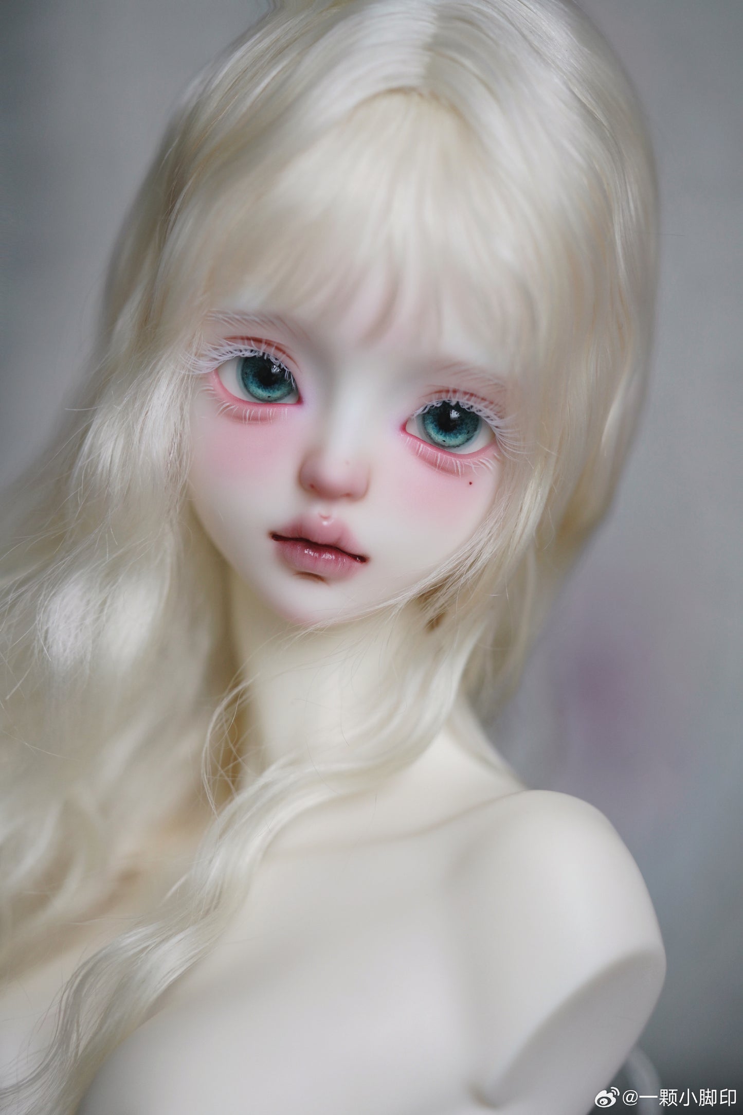 A small footprint - Butter rice (BJD Head) : PreOrder - Anubis Doll Café