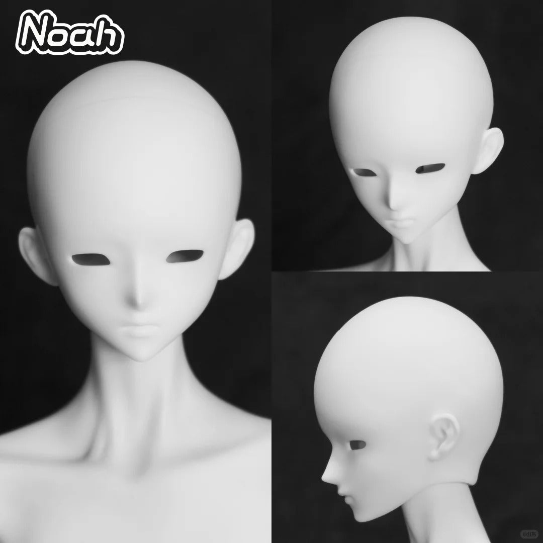 SOII - Finn&Noah (หัวBJD) : พรีออเดอร์