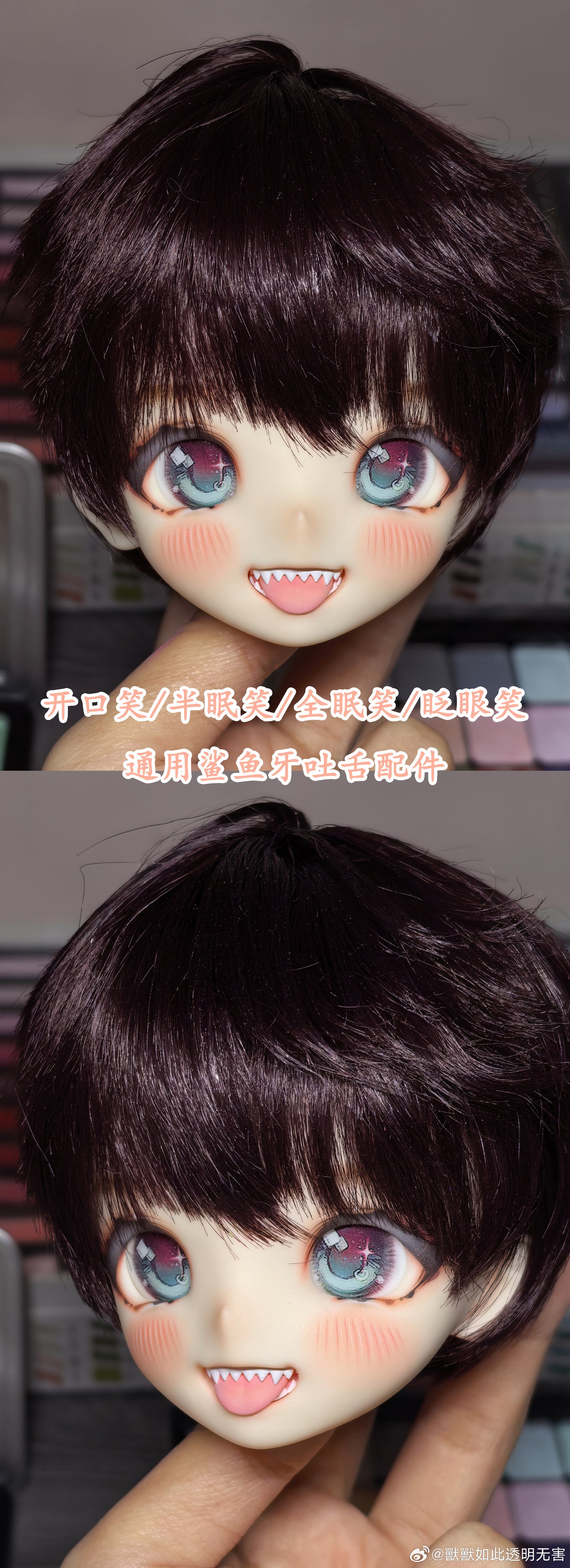 Shoushoudoll - Cat cocoa (BJD Head) : PreOrder