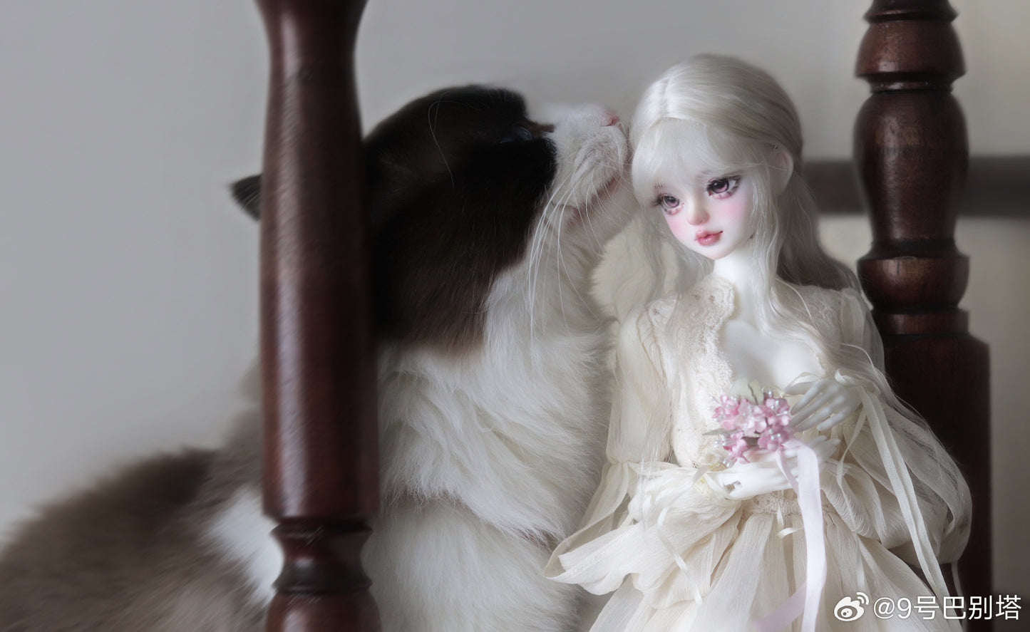 Tower of Babel No. 9 - Xiaoshu (BJD Head) : PreOrder - Anubis Doll Café