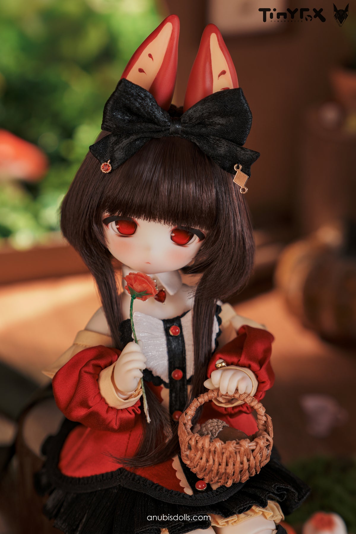 Tinyfox - Ringo (MJD Fullset) : พรีออเดอร์