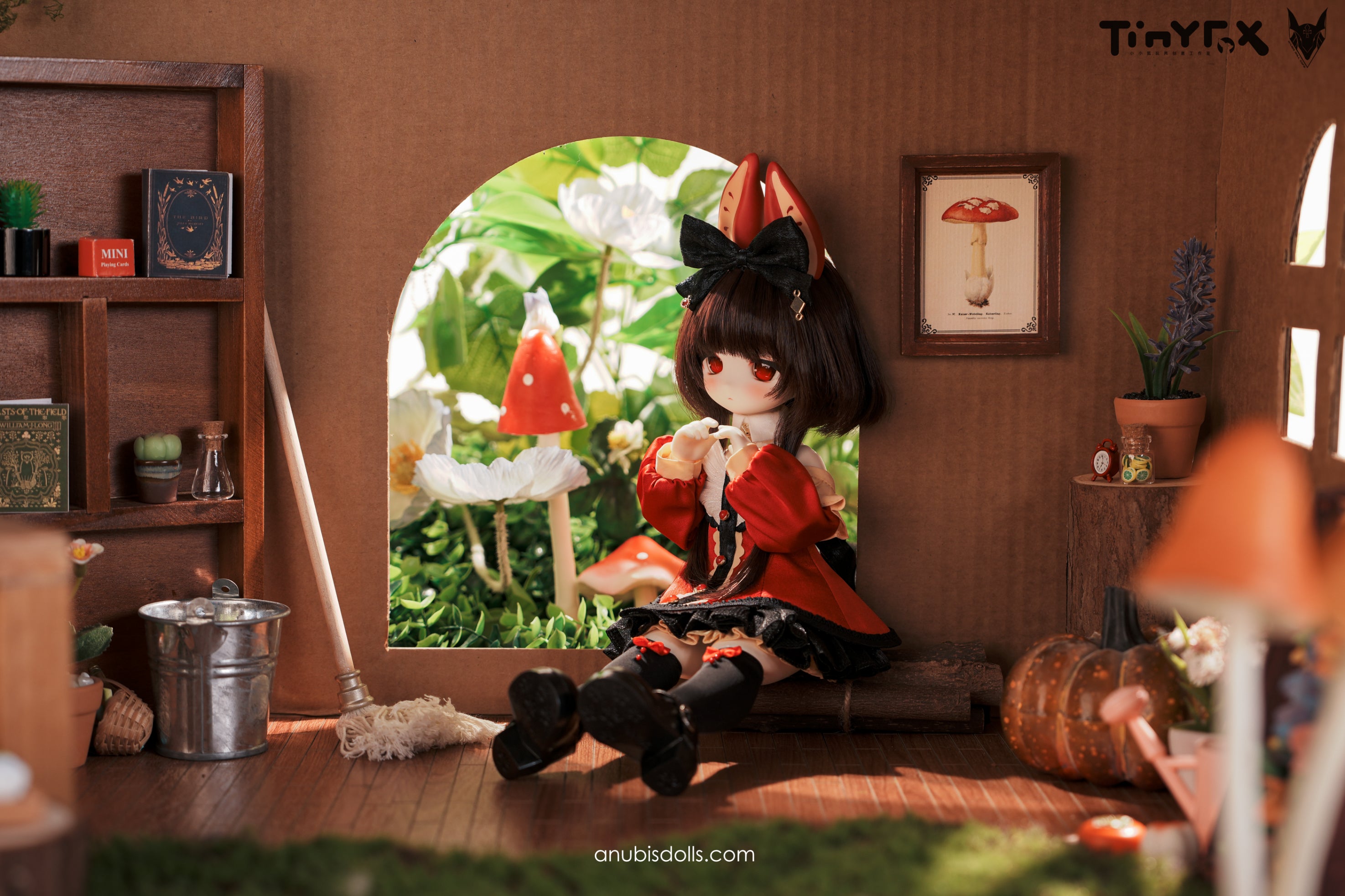 Tinyfox - Ringo (MJD Fullset) : พรีออเดอร์
