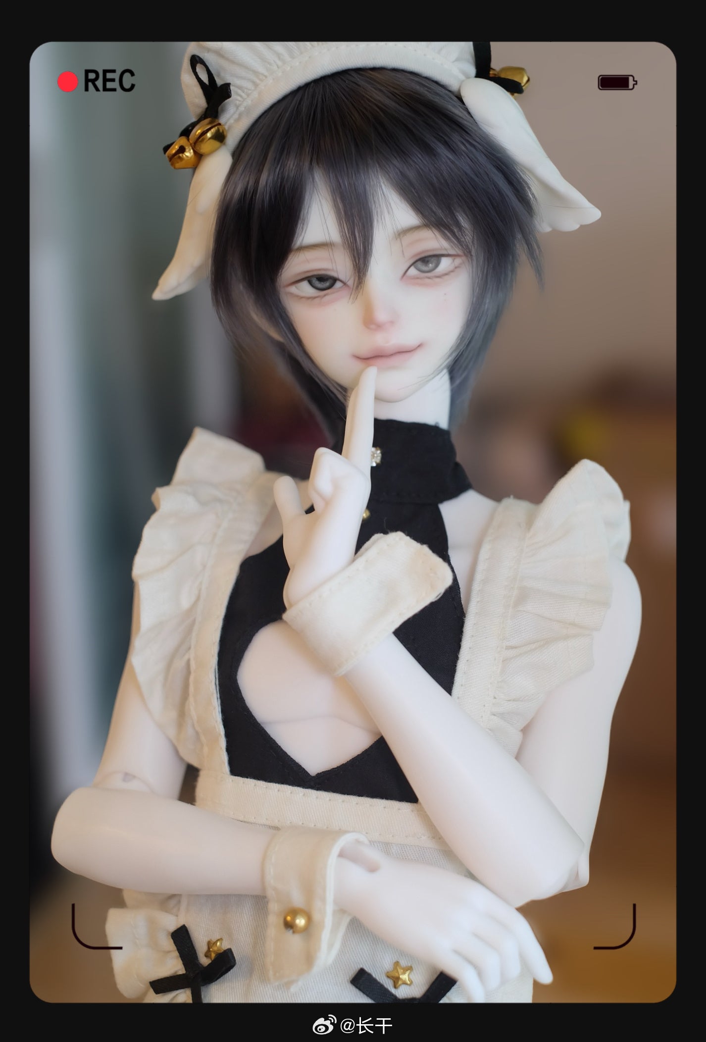 Zhang gan - A xian (BJD Head) : Instock - Anubis Doll Café