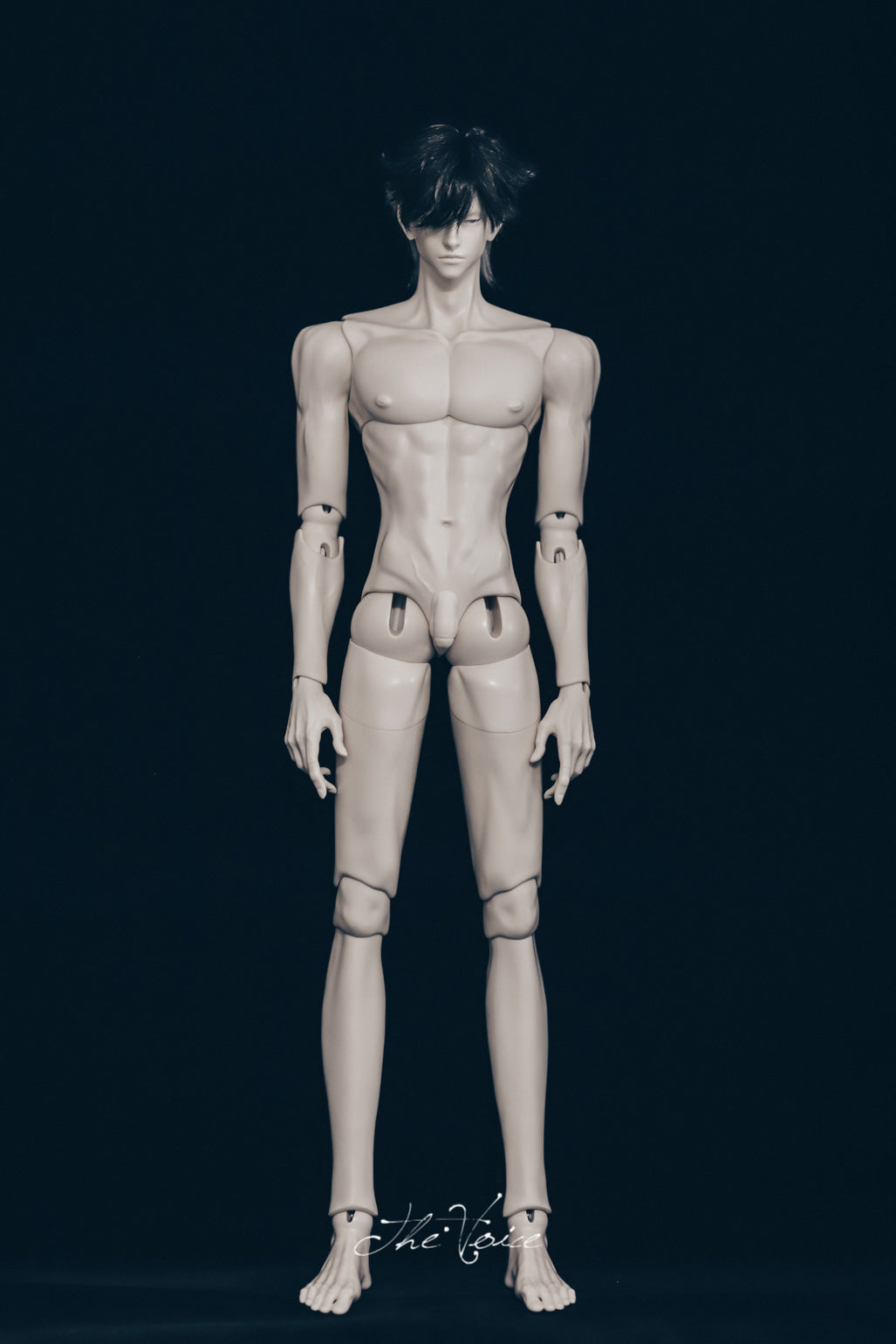 the Voice - Eagle body and Sun body group order (BJD body) : PreOrder