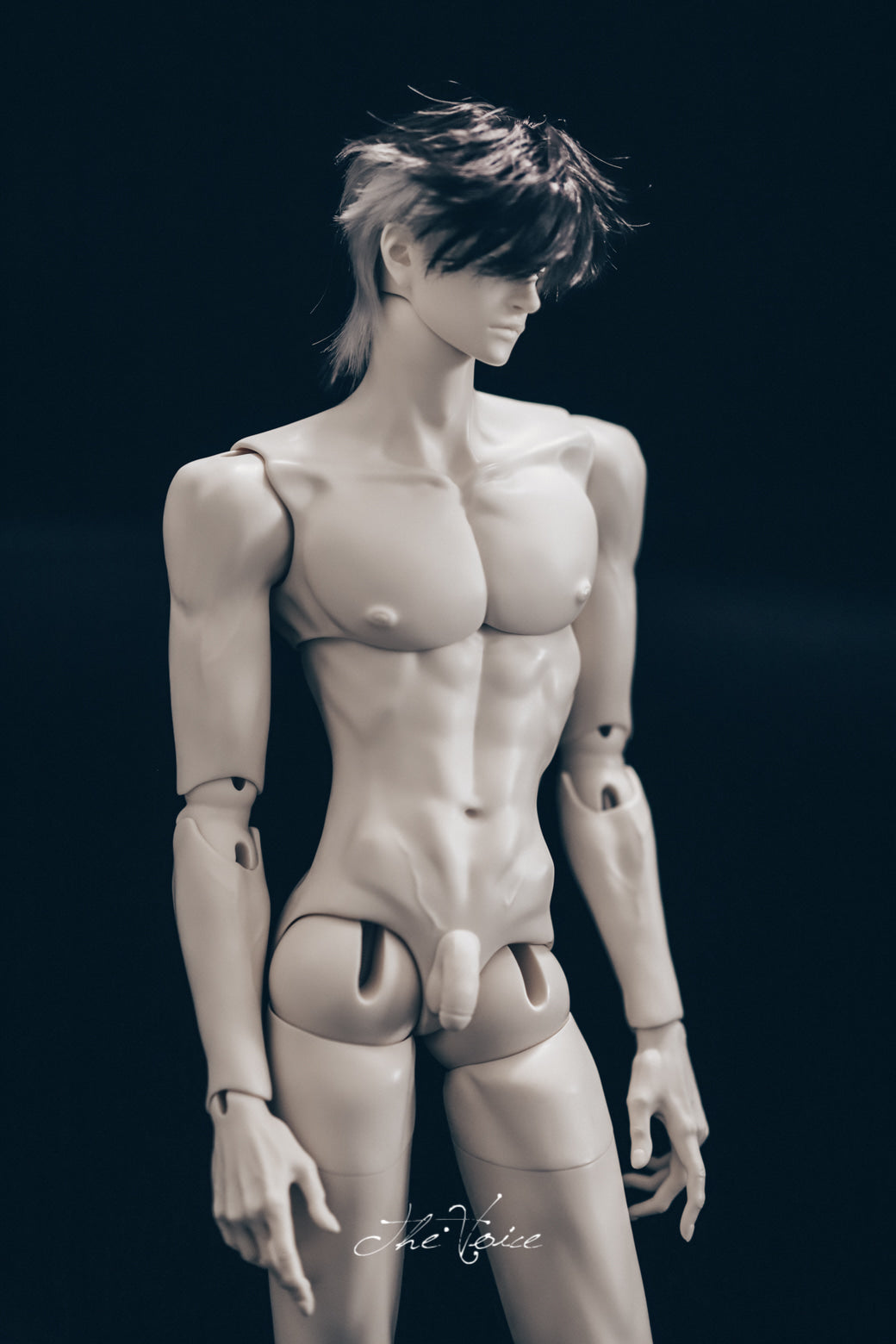 the Voice - Eagle body and Sun body group order (BJD body) : PreOrder