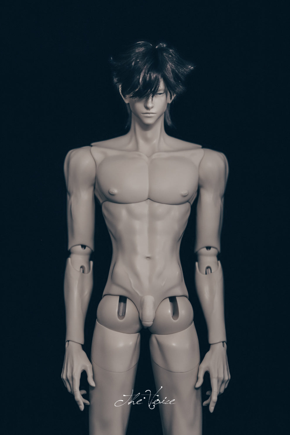 the Voice - Eagle body and Sun body group order (BJD body) : PreOrder