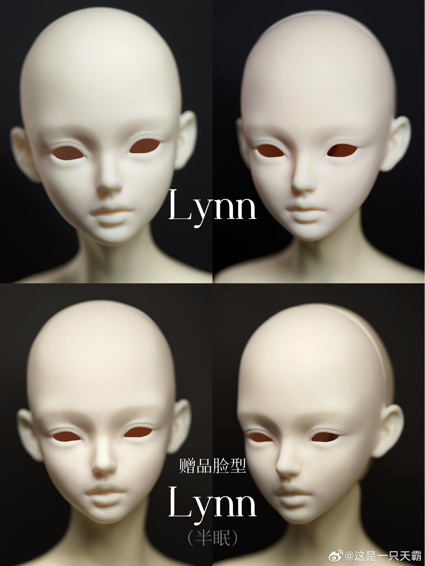 Tianba0830 - Fay & Lynn (BJD Head) : PreOrder - Anubis Doll Café