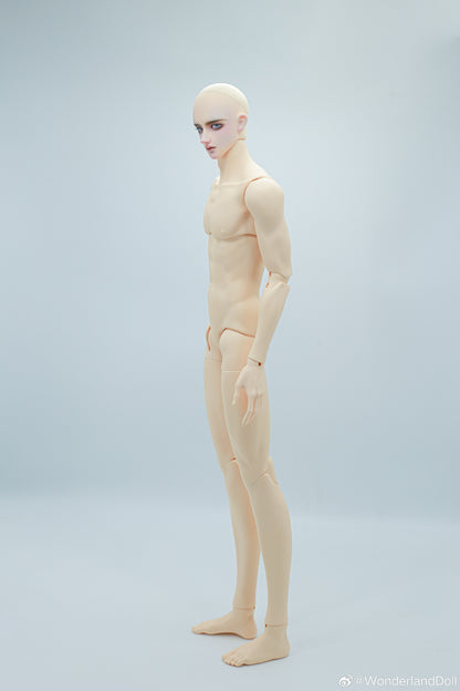 WonderlandDoll - Aden (BJD Plain head , Only body , Nudedoll) : PreOrder - Anubis Doll Café