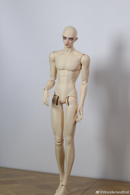 WonderlandDoll - Aden (BJD Plain head , Only body , Nudedoll) : PreOrder - Anubis Doll Café