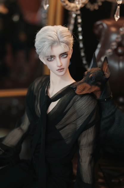 WonderlandDoll - Aden (BJD Plain head , Only body , Nudedoll) : PreOrder - Anubis Doll Café