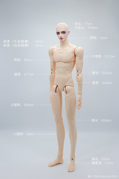 WonderlandDoll - Aden (BJD Plain head , Only body , Nudedoll) : PreOrder - Anubis Doll Café