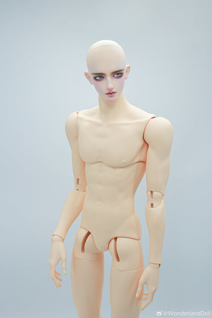 WonderlandDoll - Aden (BJD Plain head , Only body , Nudedoll) : PreOrder - Anubis Doll Café