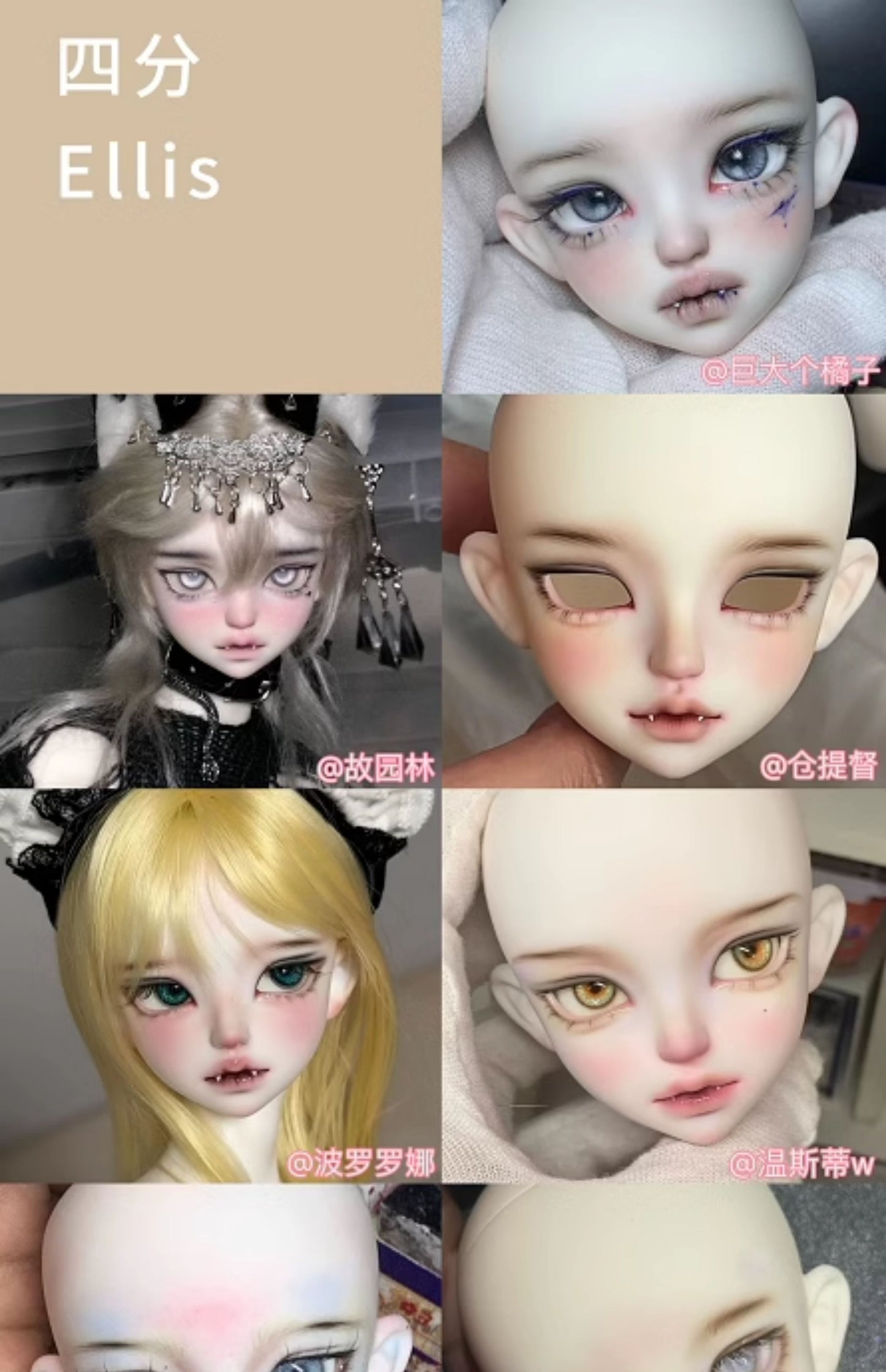 WonderlandDoll - 1/4 Ellis, M.leon (หัว , นู๊ดดอลBJD) : พรีออเดอร์