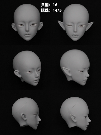 WonderlandDoll - 1/4 Ellis, M.leon (BJD Head , Nudedoll) : PreOrder