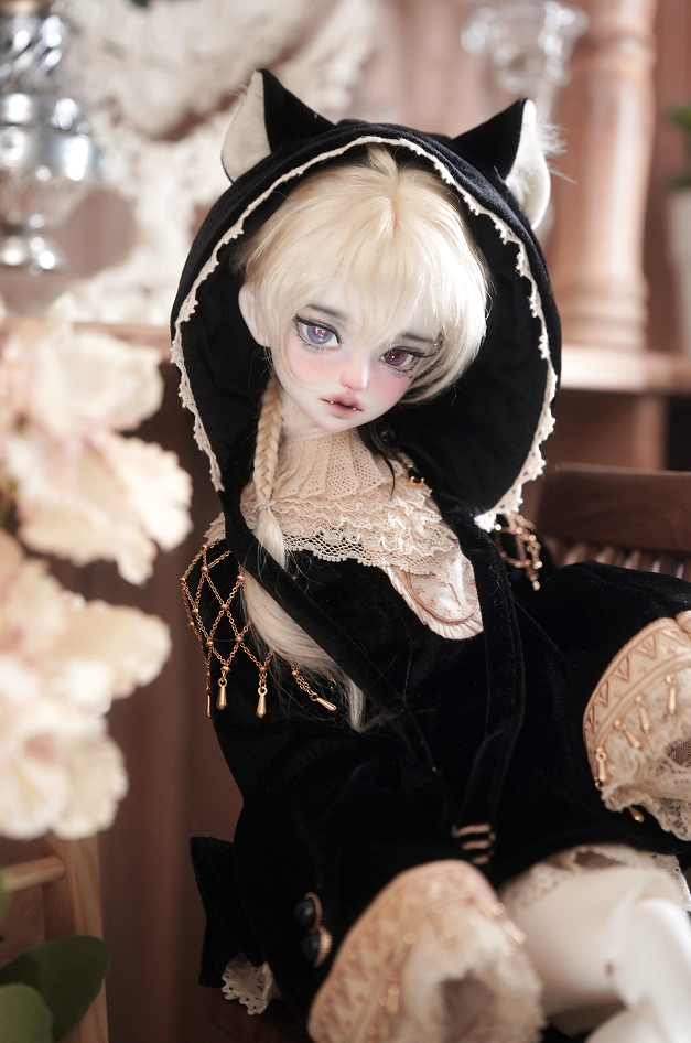 WonderlandDoll - 1/4 Ellis, M.leon (BJD Head , Nudedoll) : PreOrder