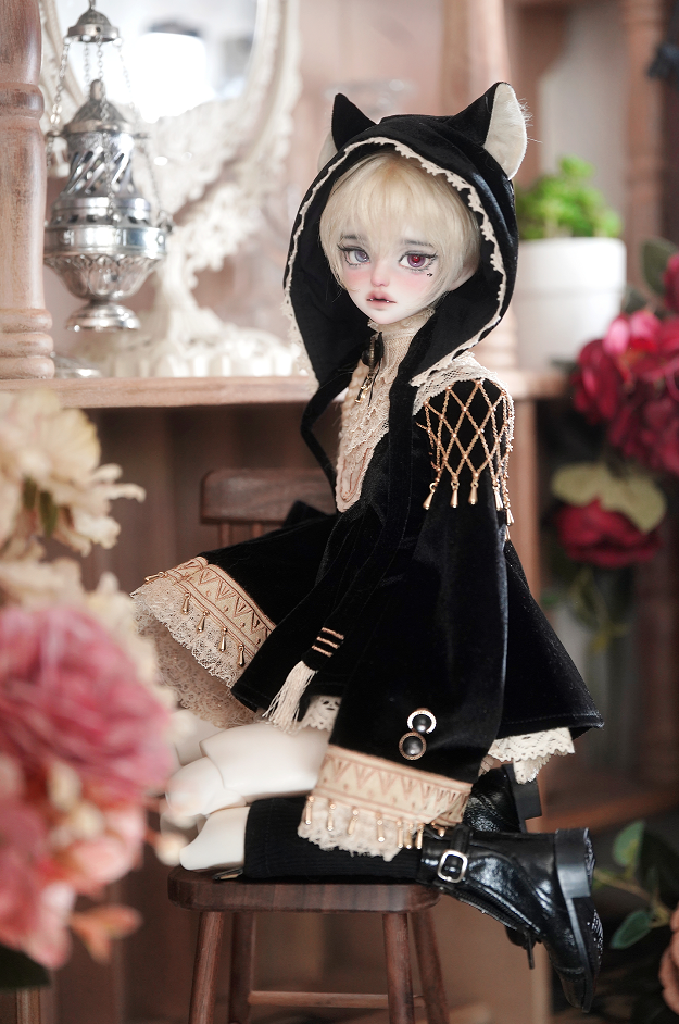 WonderlandDoll - 1/4 Ellis, M.leon (BJD Head , Nudedoll) : PreOrder