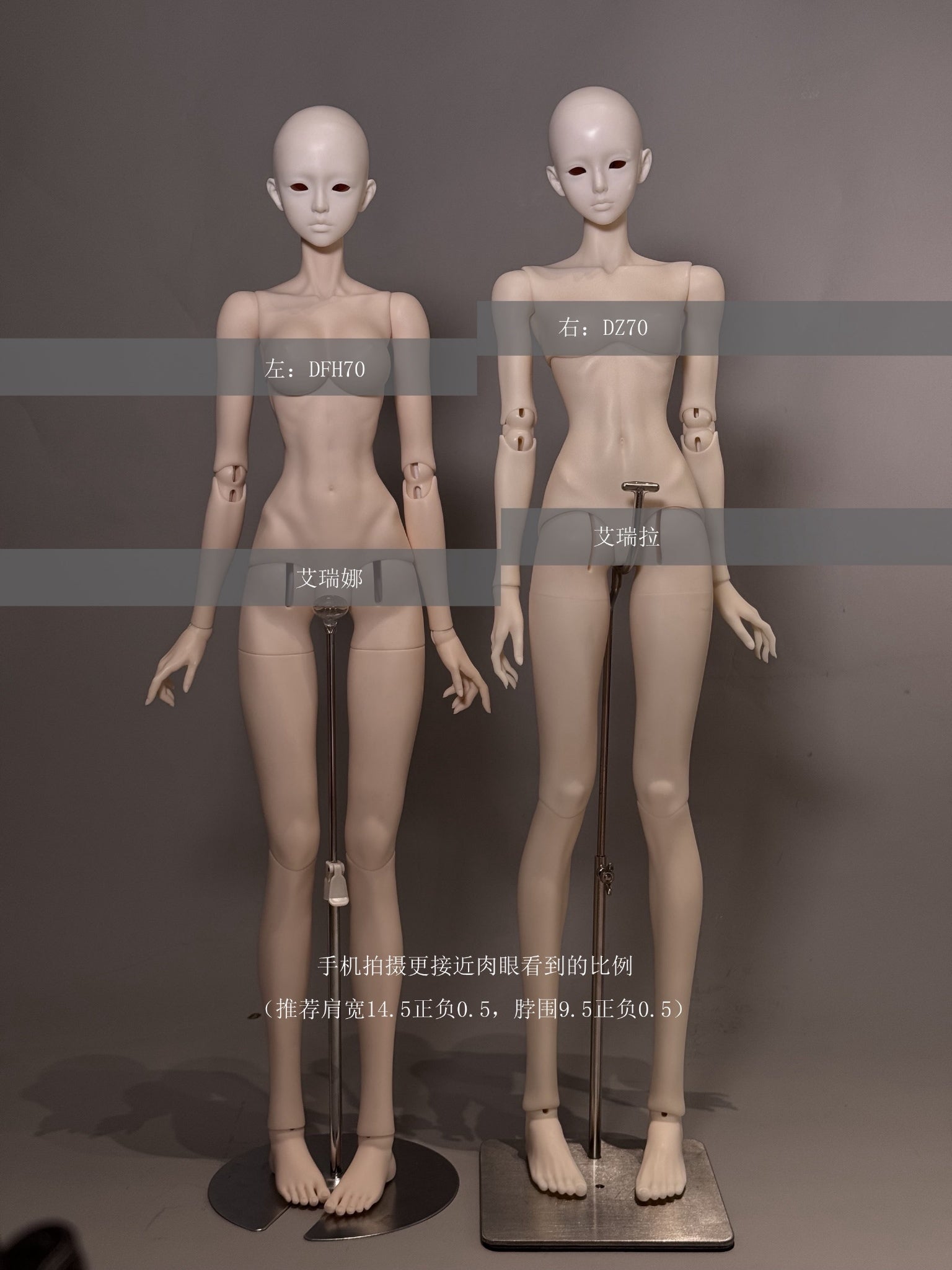 QQDoll - Arena & Erela (หัวBJD) : พรีออเดอร์