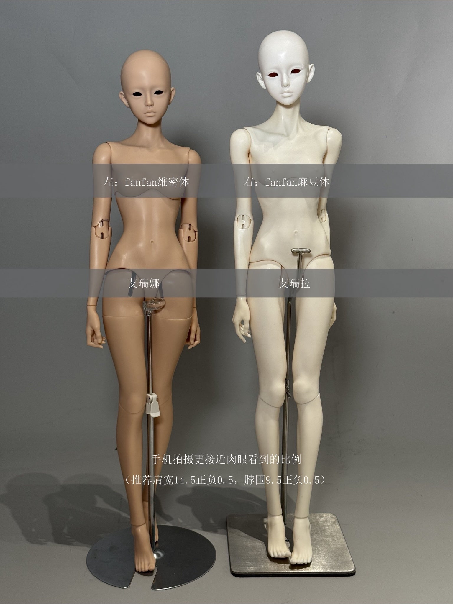 QQDoll - Arena & Erela (หัวBJD) : พรีออเดอร์