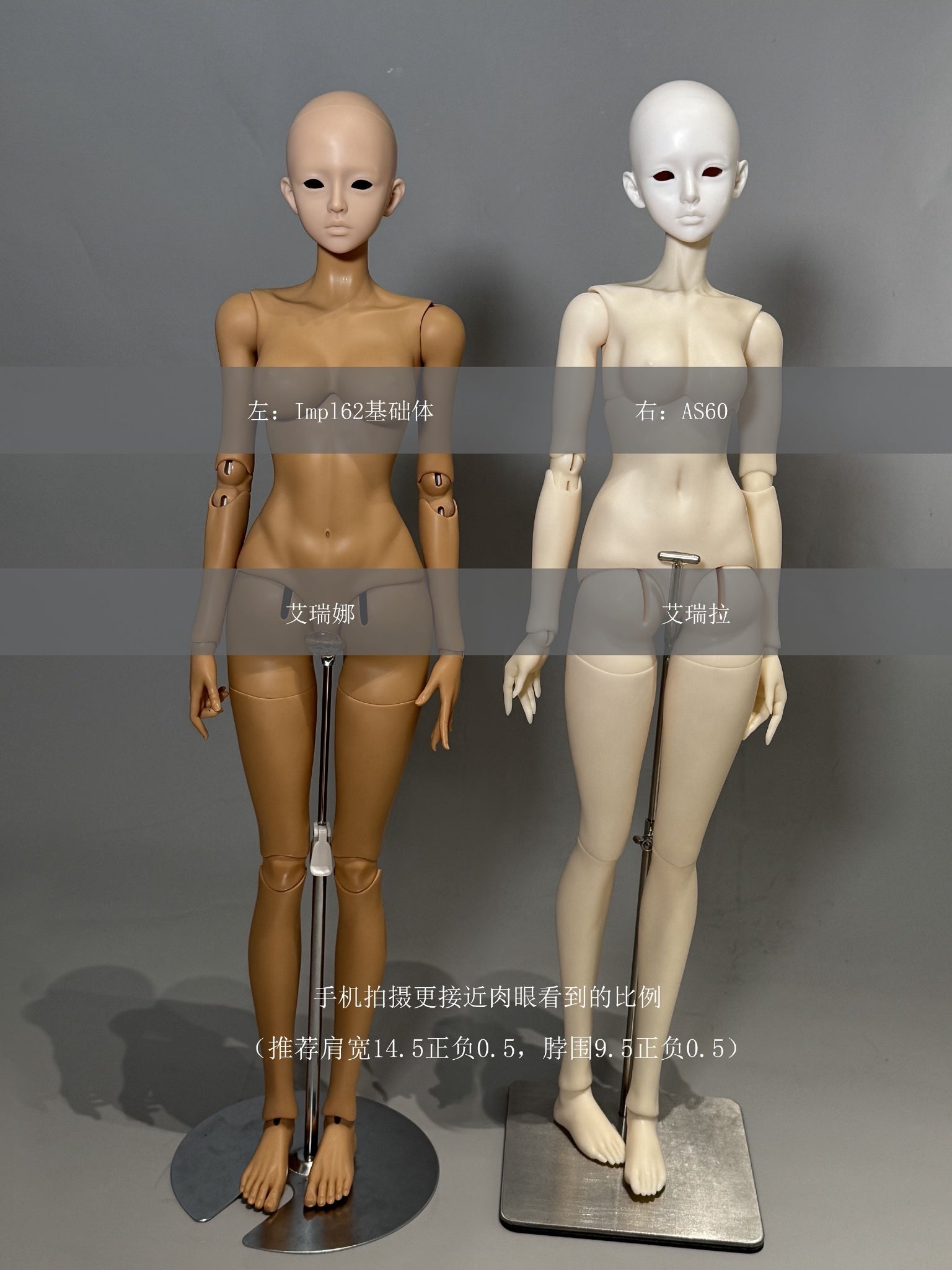 QQDoll - Arena & Erela (หัวBJD) : พรีออเดอร์