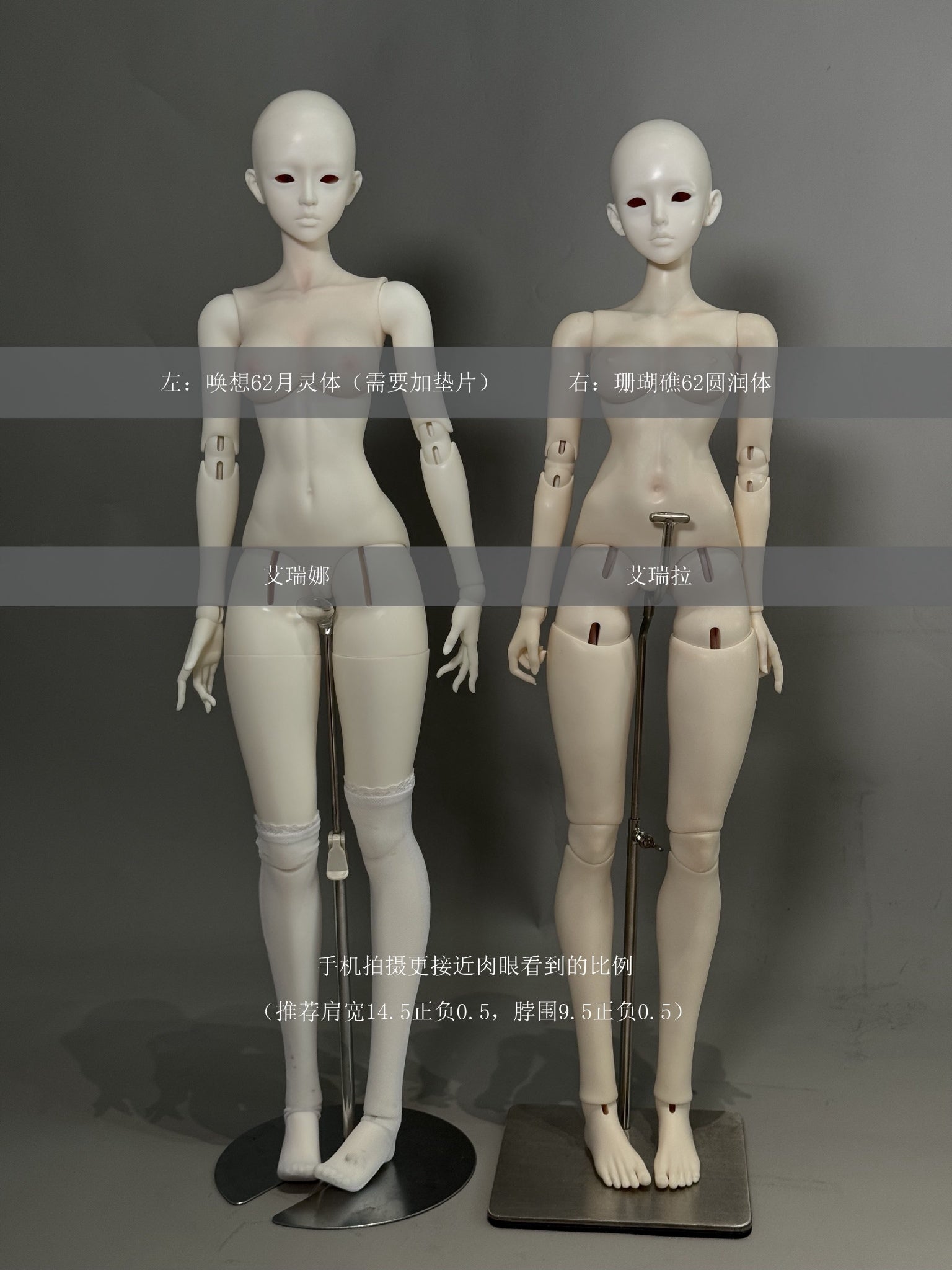 QQDoll - Arena & Erela (หัวBJD) : พรีออเดอร์