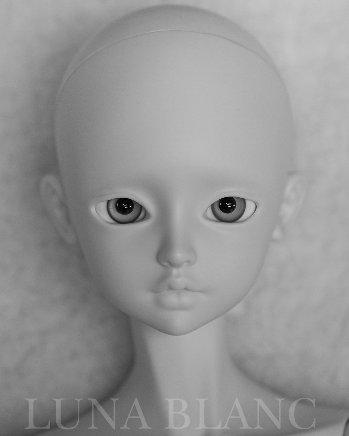 Luna blanc - Cordelia Milk white (BJD Head) : Instock