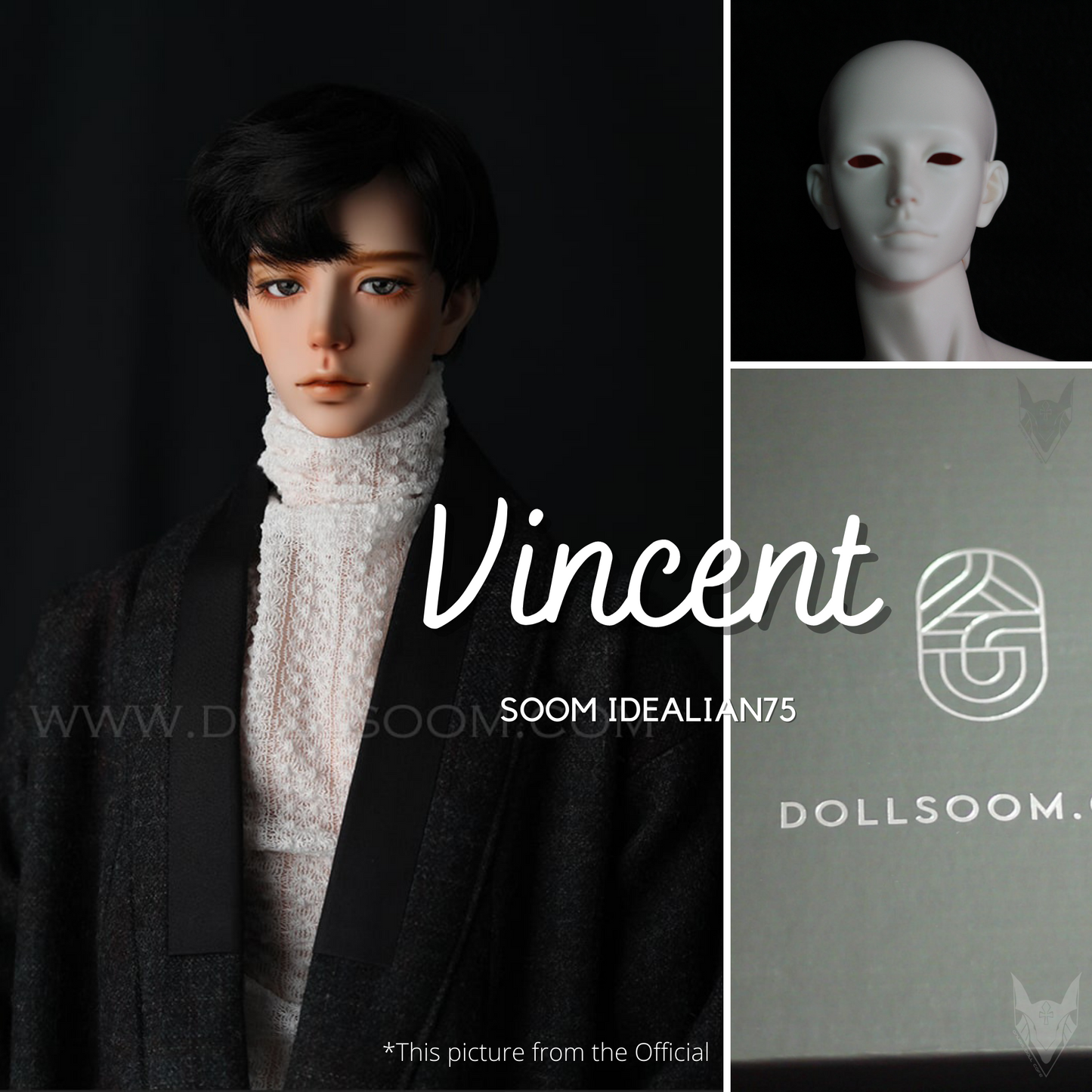 SOOM IDEALIAN75 - Vincent Romantic Ver. - Anubis Doll Café