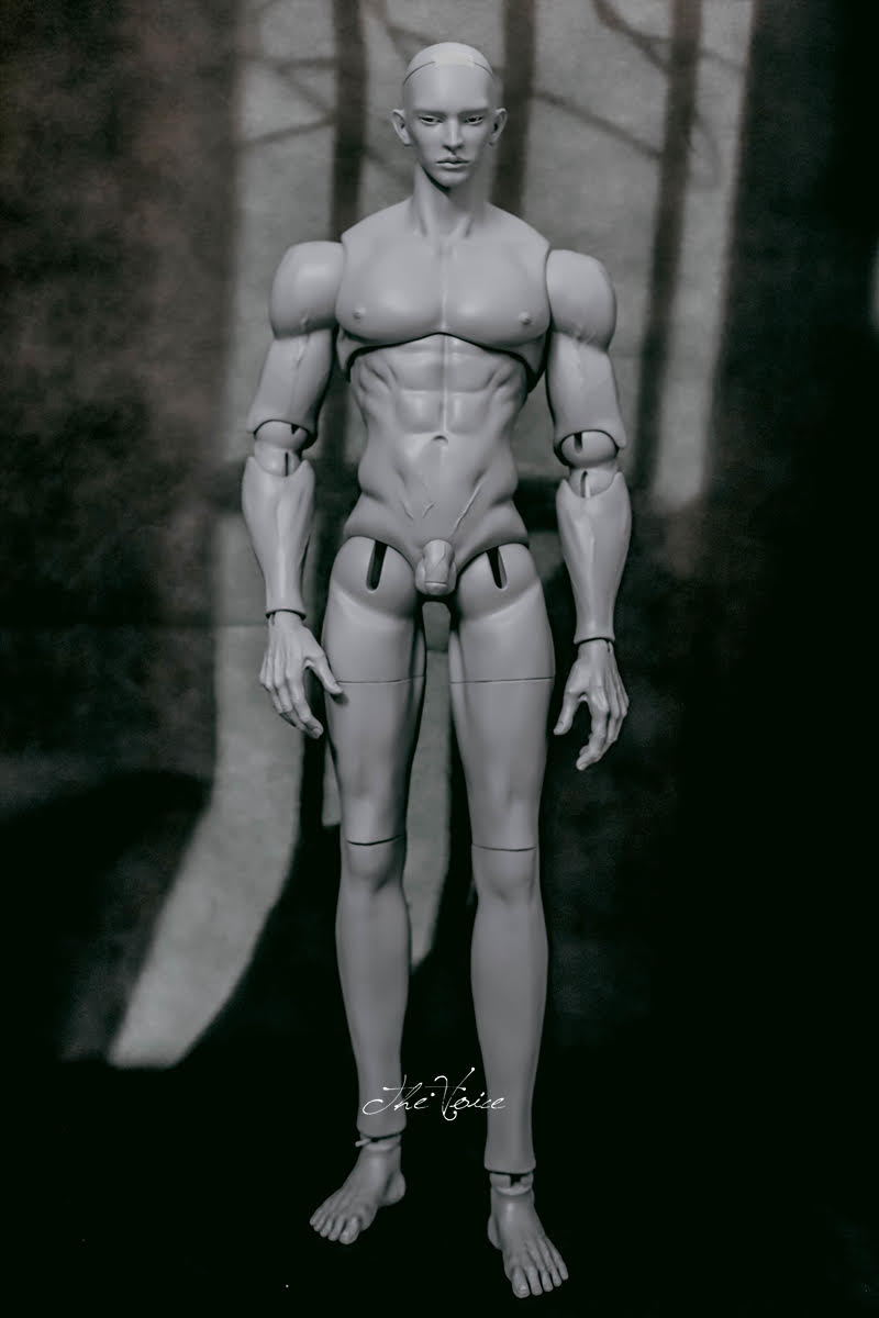 BJD outlets bodies